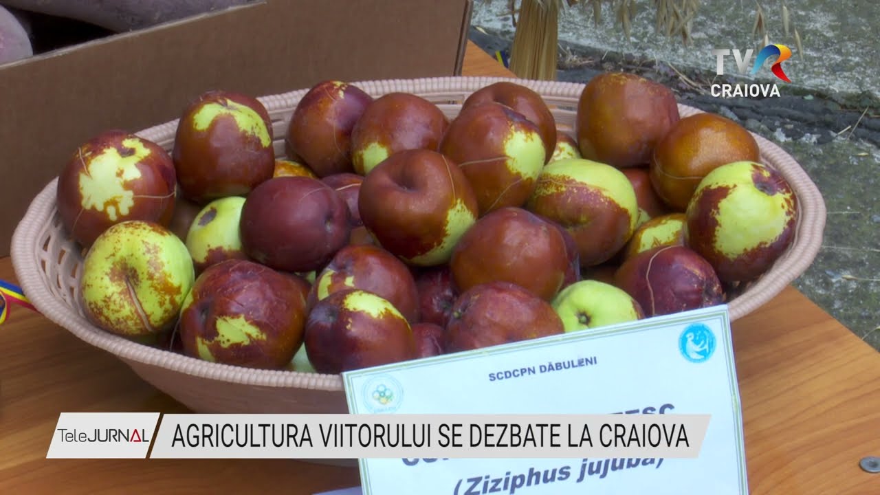 AGRICULTURA VIITORULUI SE DEZBATE LA CRAIOVA Stiri TVR Craiova